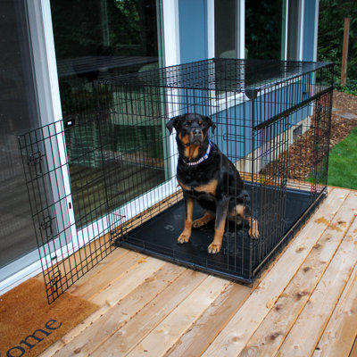 54 inch dog crate canada best sale